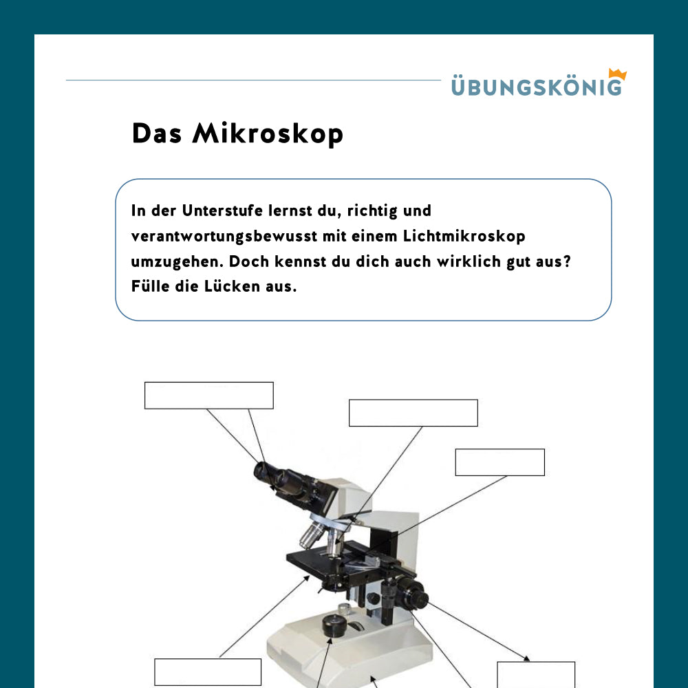 Königspaket: Das Mikroskop (Biologie, 5. Klasse)