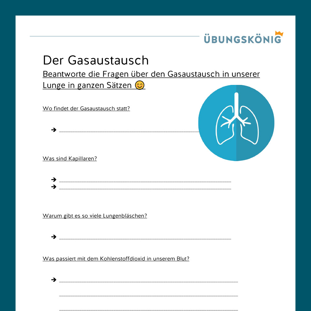 Königspaket: Lunge und Gasaustausch (Biologie, 5. Klasse)