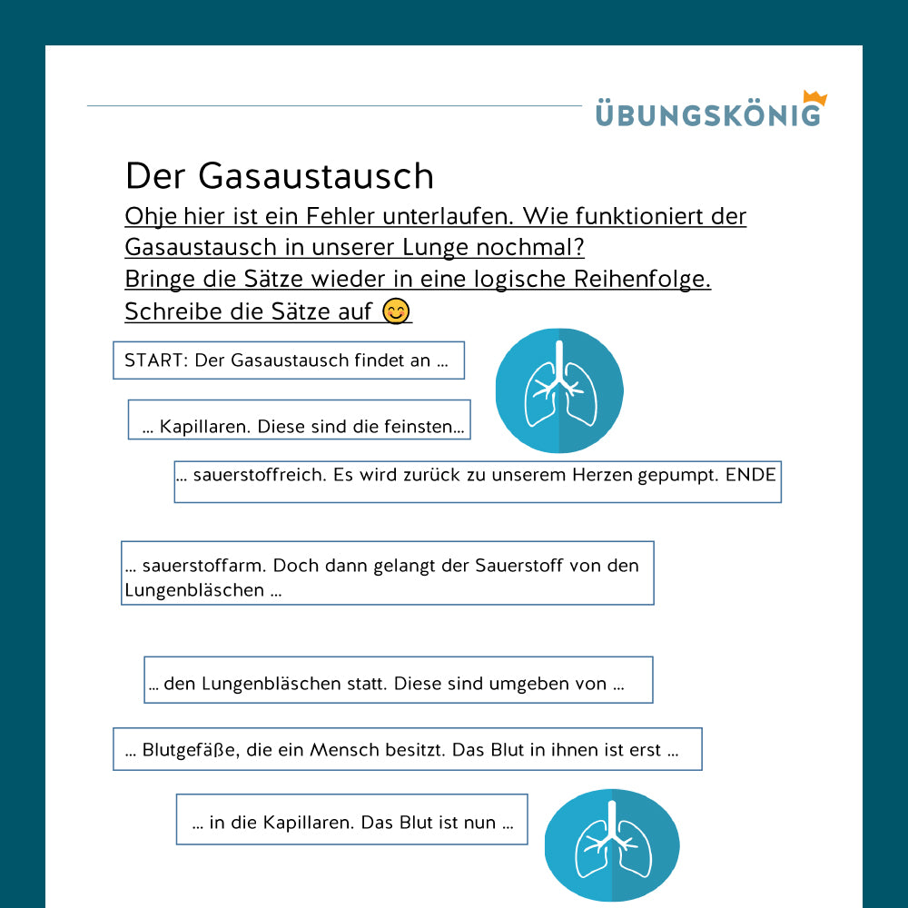 Königspaket: Lunge und Gasaustausch (Biologie, 5. Klasse)