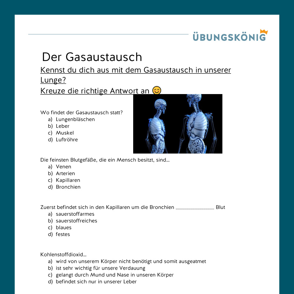 Königspaket: Lunge und Gasaustausch (Biologie, 5. Klasse)