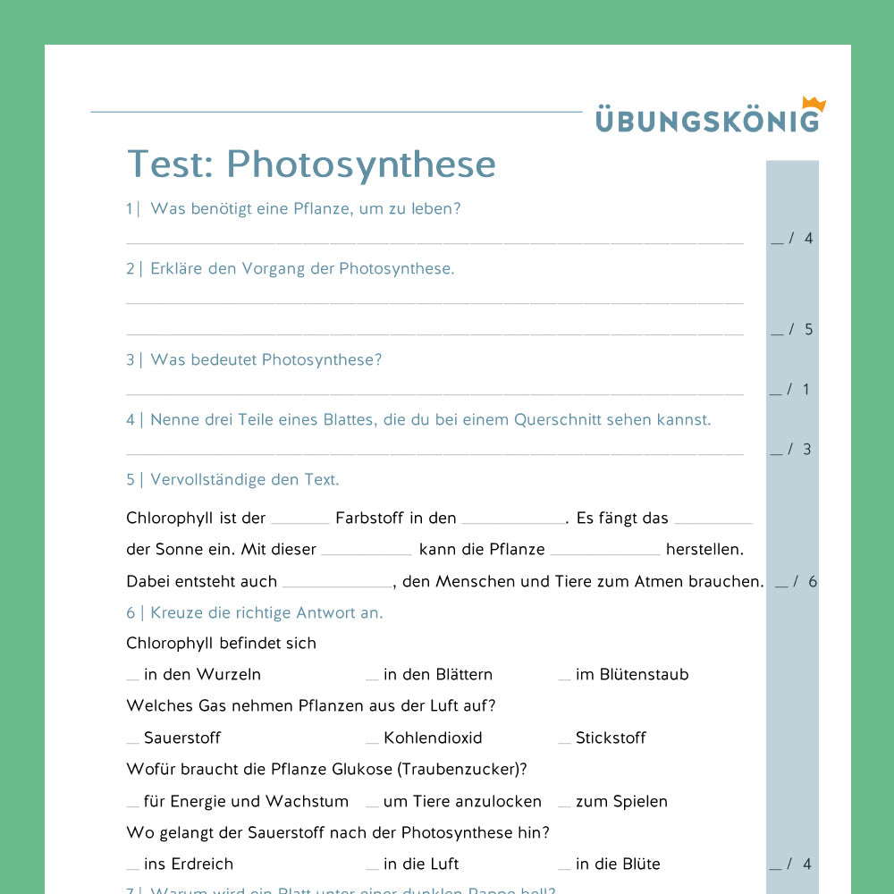 Königspaket: Photosynthese (Biologie, 5. Klasse)