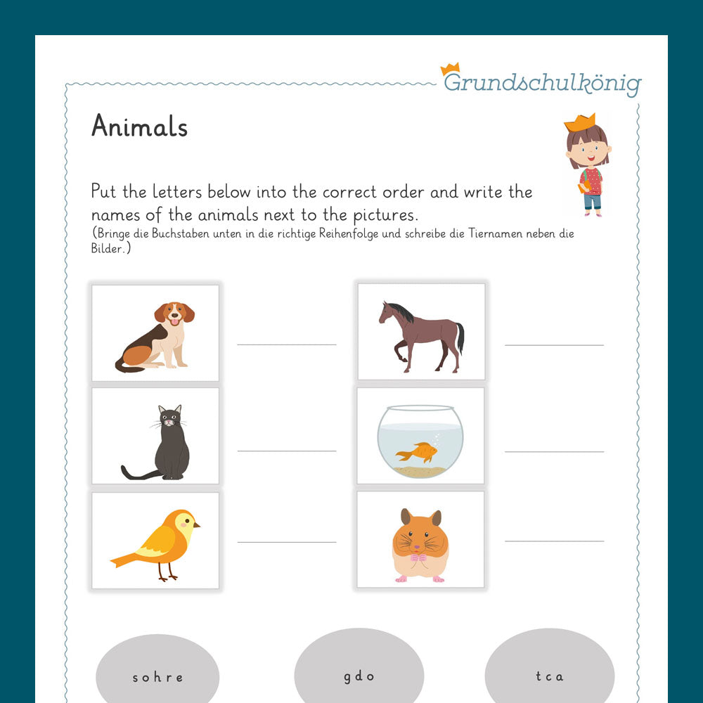 Freebie: Kennenlernpaket (Deutsch, Mathe, HSU & erstes Englisch, 4. Klasse)