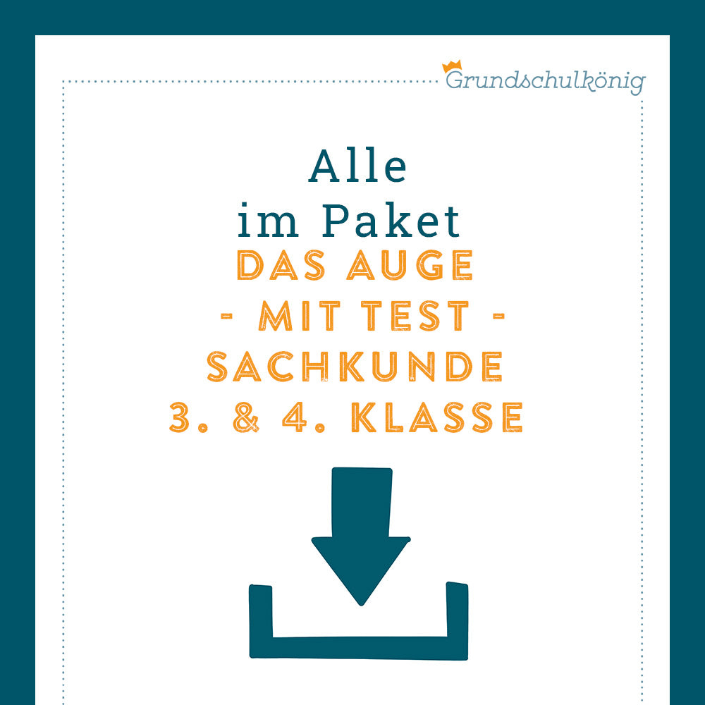 Königspaket: Das Auge (Sachkunde, 3.& 4. Klasse)