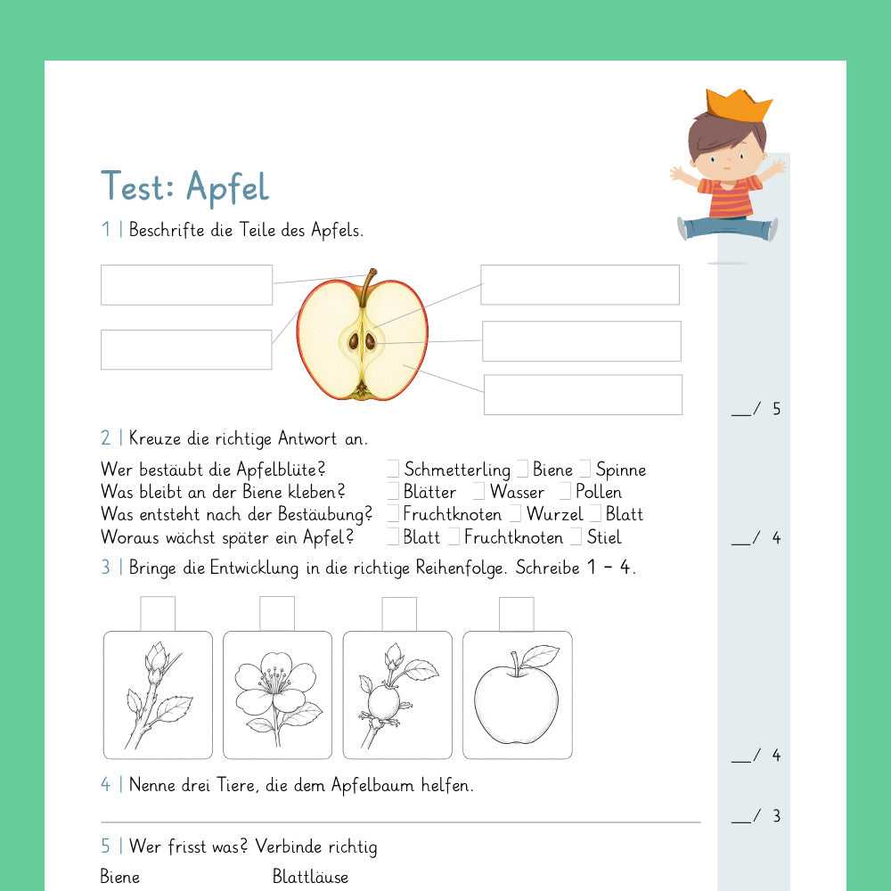 Königspaket: Der Apfel (Sachkunde 3.& 4. Klasse)