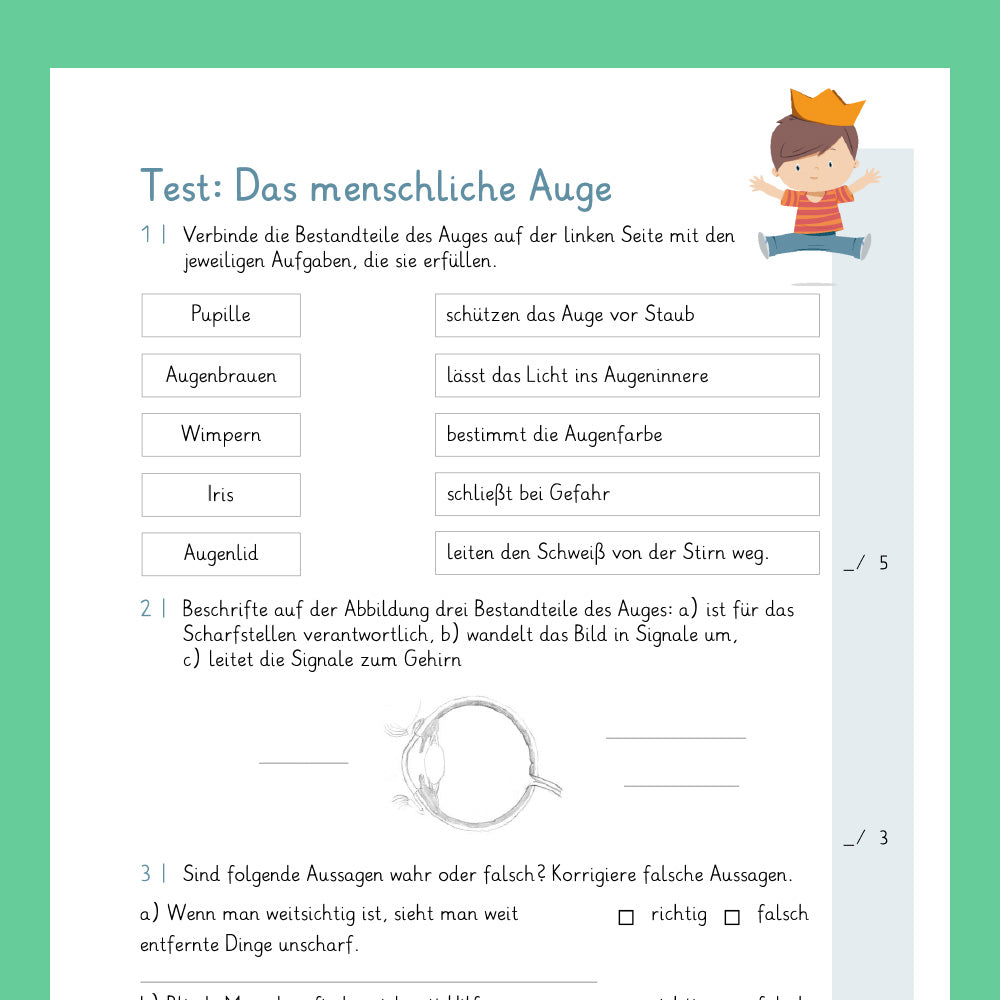 Königspaket: Das Auge (Sachunterricht) - inklusive Test