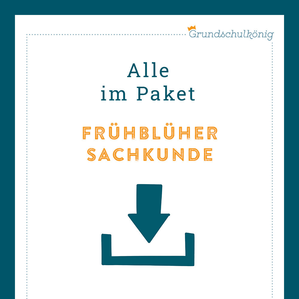 Königspaket: Frühblüher (Sachkunde)