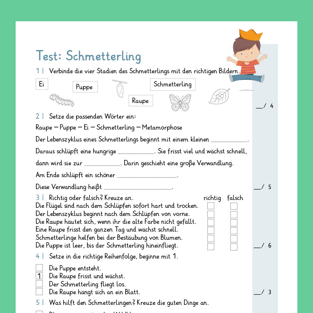 Königspaket: Entwicklung des Schmetterlings (Sachkunde) - inklusive Test