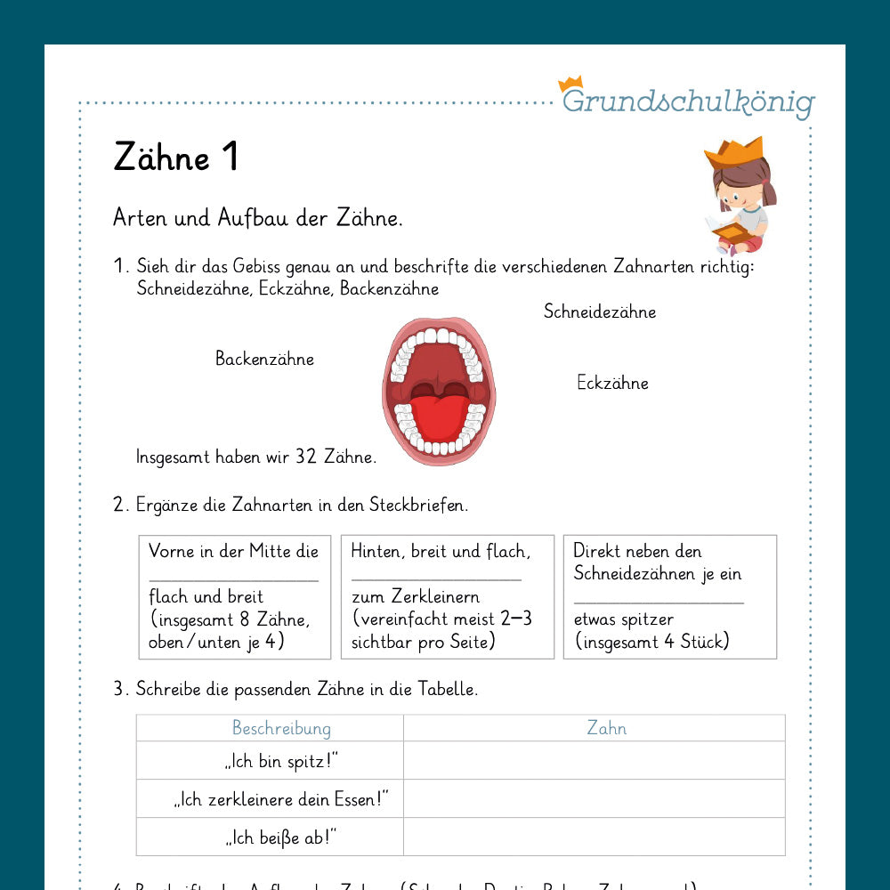 Königspaket: Zähne (Sachkunde) - inklusive Test