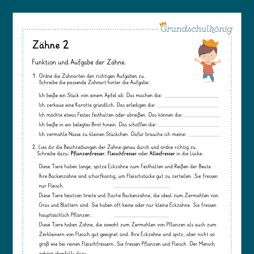 Königspaket: Zähne (Sachkunde) - inklusive Test