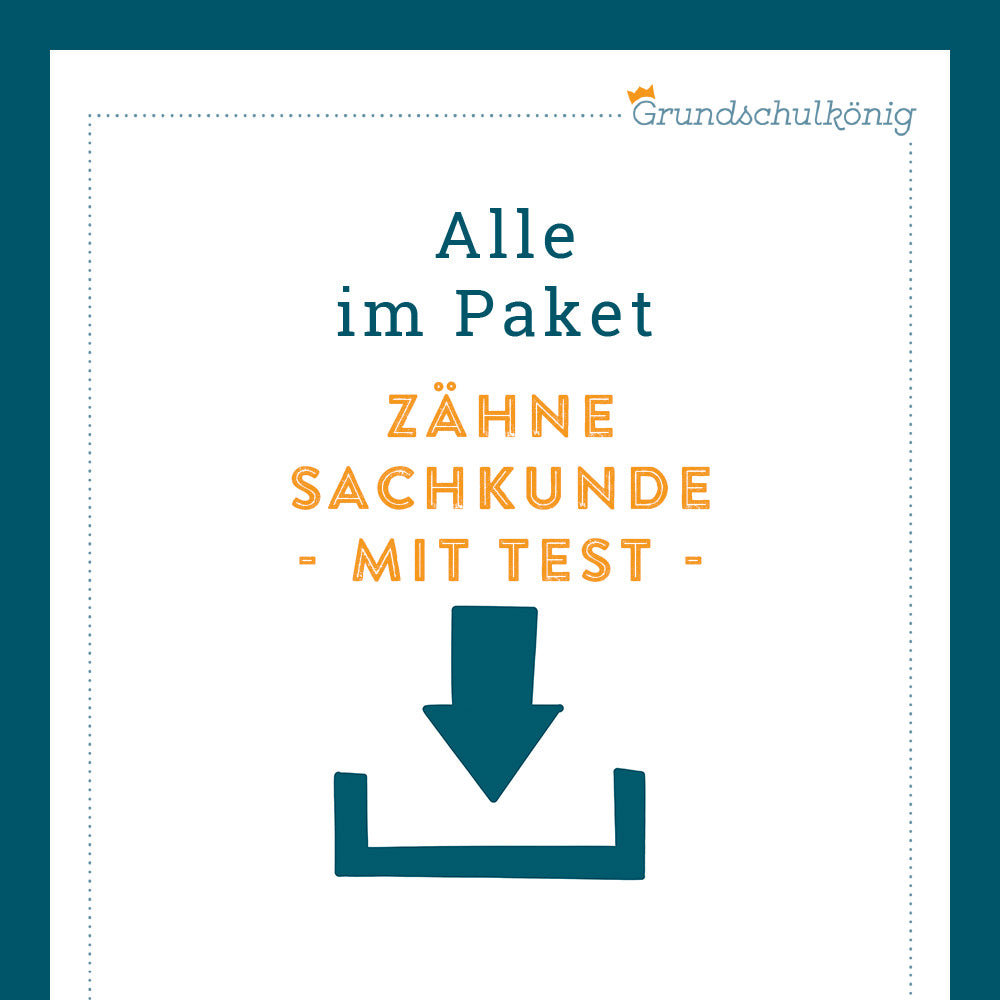 Königspaket: Zähne (Sachkunde) - inklusive Test
