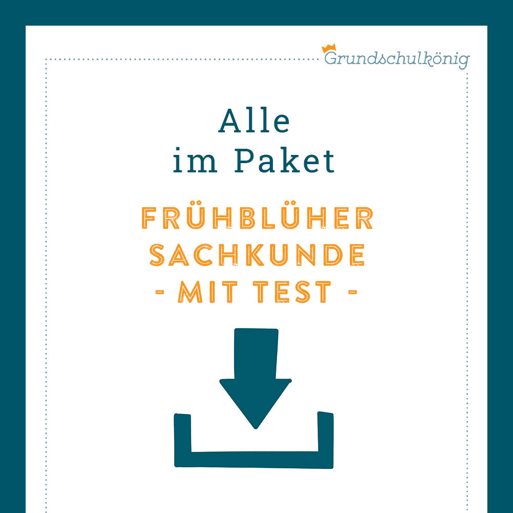 Königspaket: Frühblüher (Sachkunde) - inklusive Test