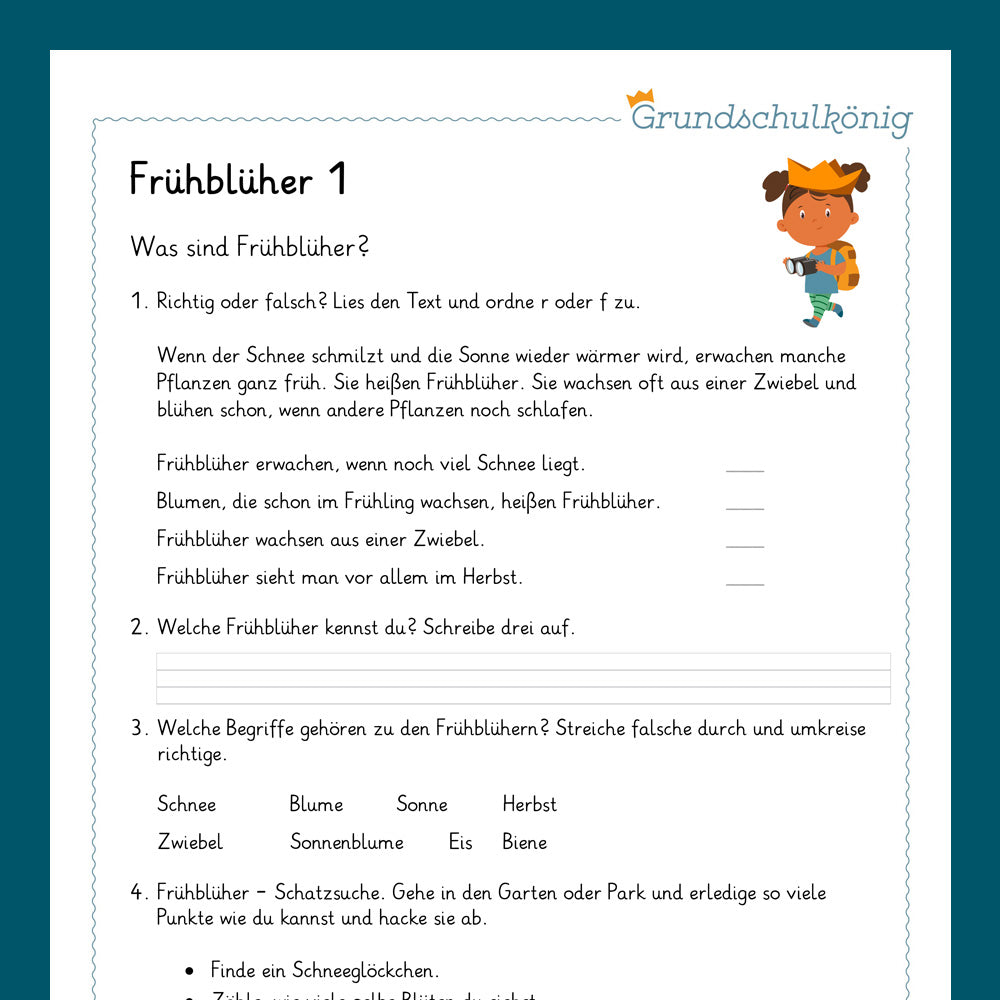 Königspaket: Frühblüher (Sachkunde) - inklusive Test