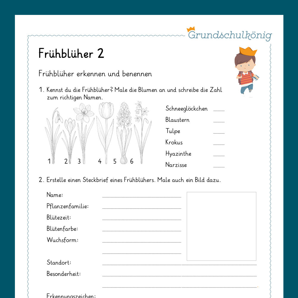 Königspaket: Frühblüher (Sachkunde) - inklusive Test