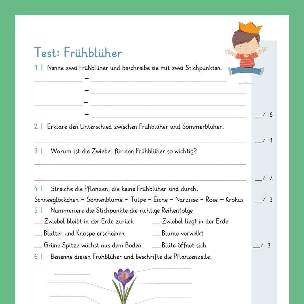 Königspaket: Frühblüher (Sachkunde) - inklusive Test