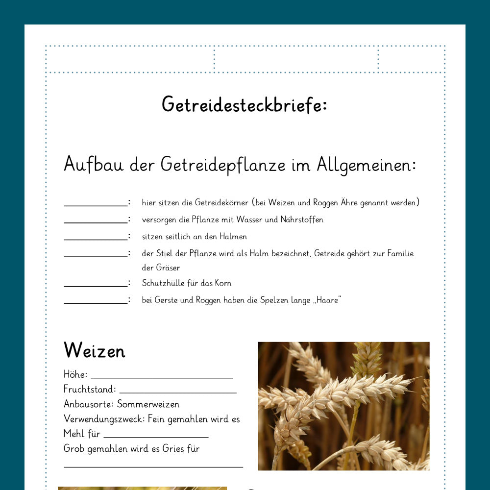 Königspaket: Getreide (Sachkunde) - mit Tests