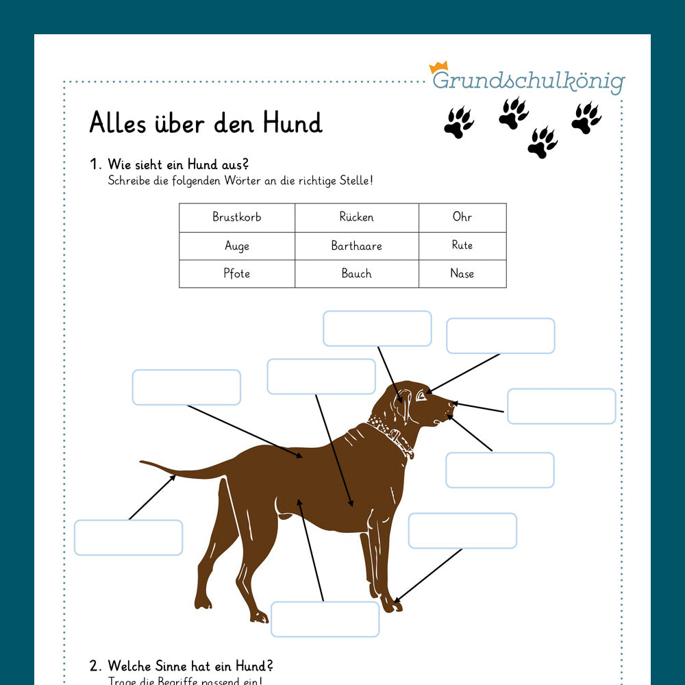 Königspaket: Haustierbuch (Sachkunde)