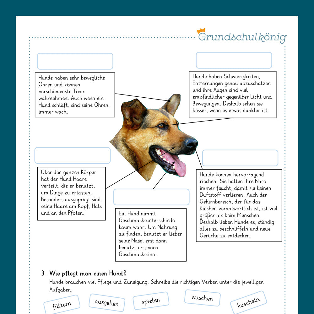 Königspaket: Haustierbuch (Sachkunde)