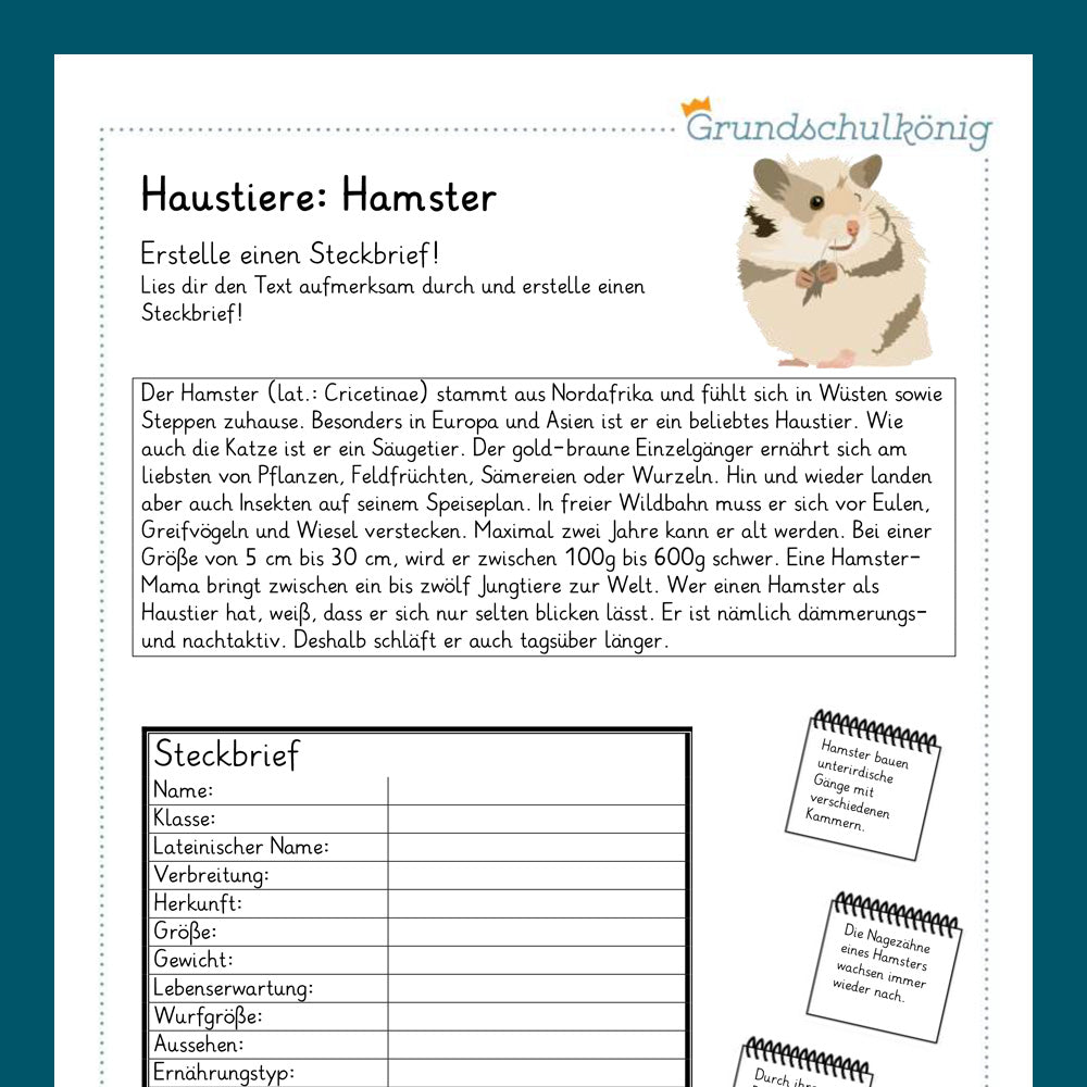 Königspaket: Haustiere (Sachkunde)