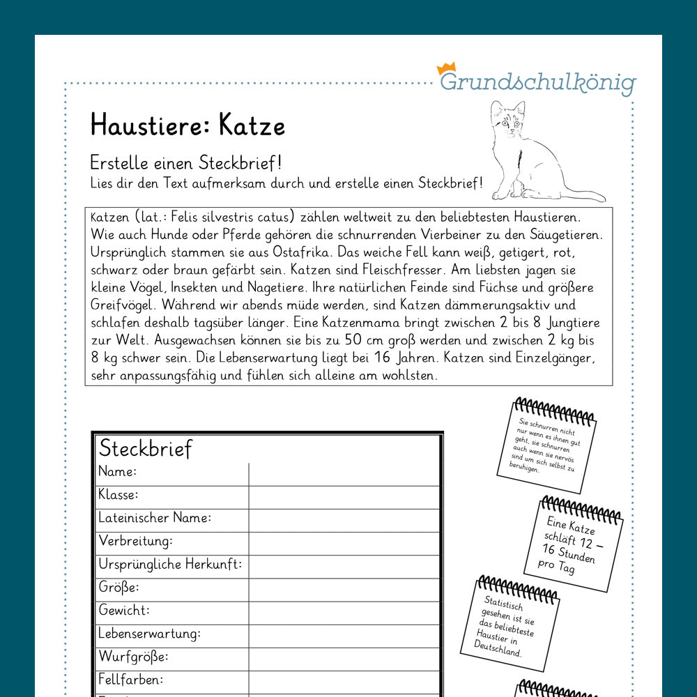 Königspaket: Haustiere (Sachkunde)