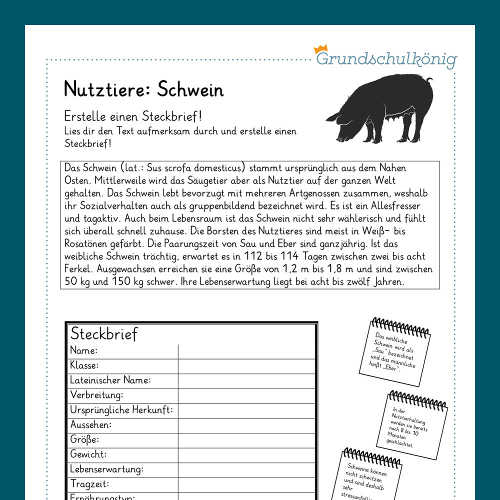 Königspaket: Nutztiere (Sachkunde)