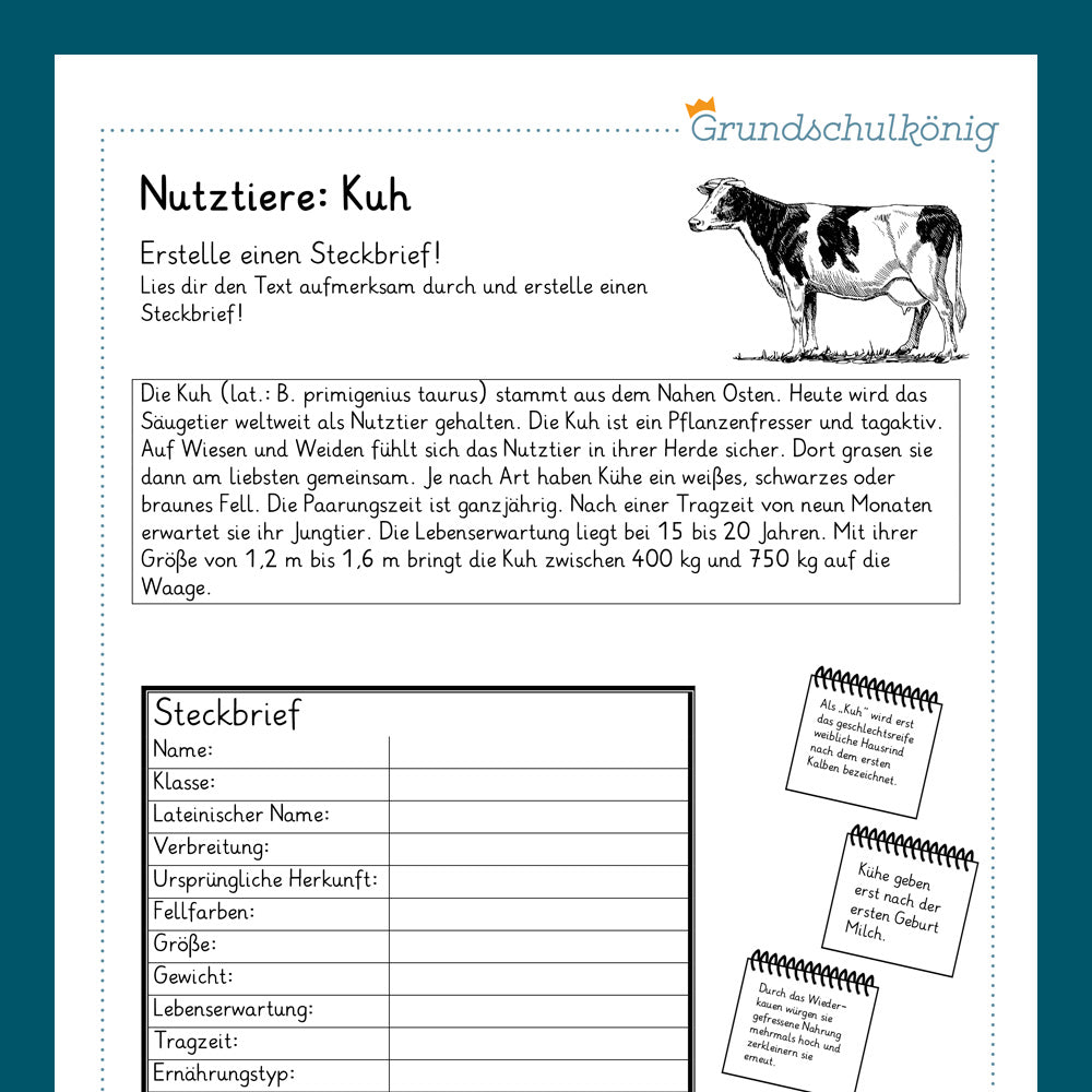 Königspaket: Nutztiere (Sachkunde)
