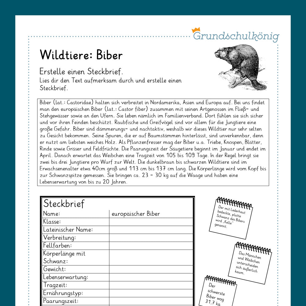Königspaket: Heimische Wildtiere (Sachkunde)