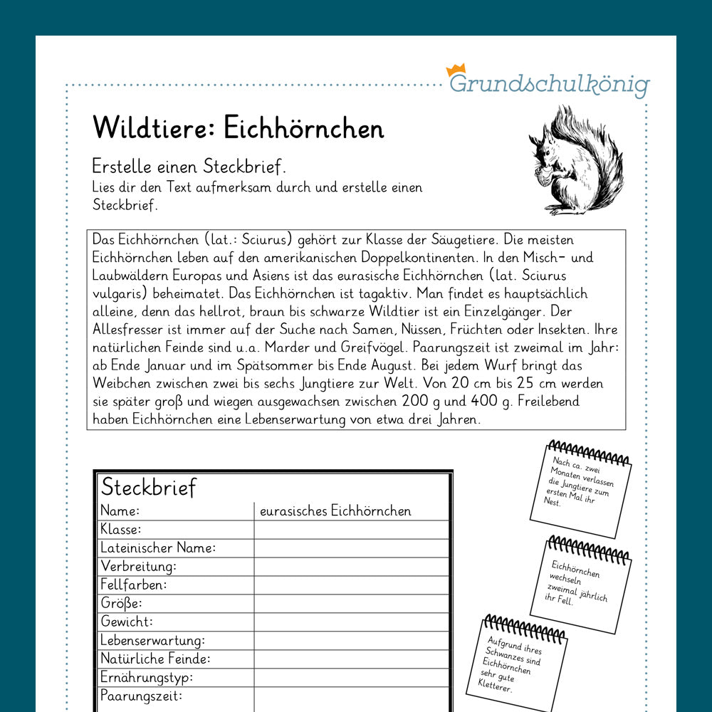 Königspaket: Heimische Wildtiere (Sachkunde)