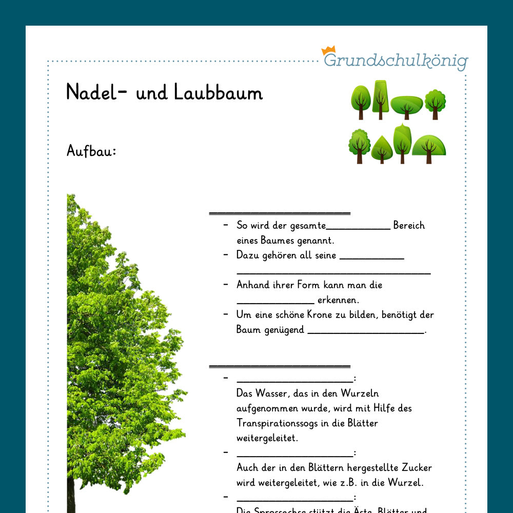 Königspaket: Bäume (Sachkunde, 3./ 4. Klasse) - mit Tests