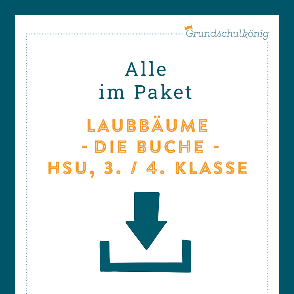 Königspaket: Die Buche (Sachkunde)