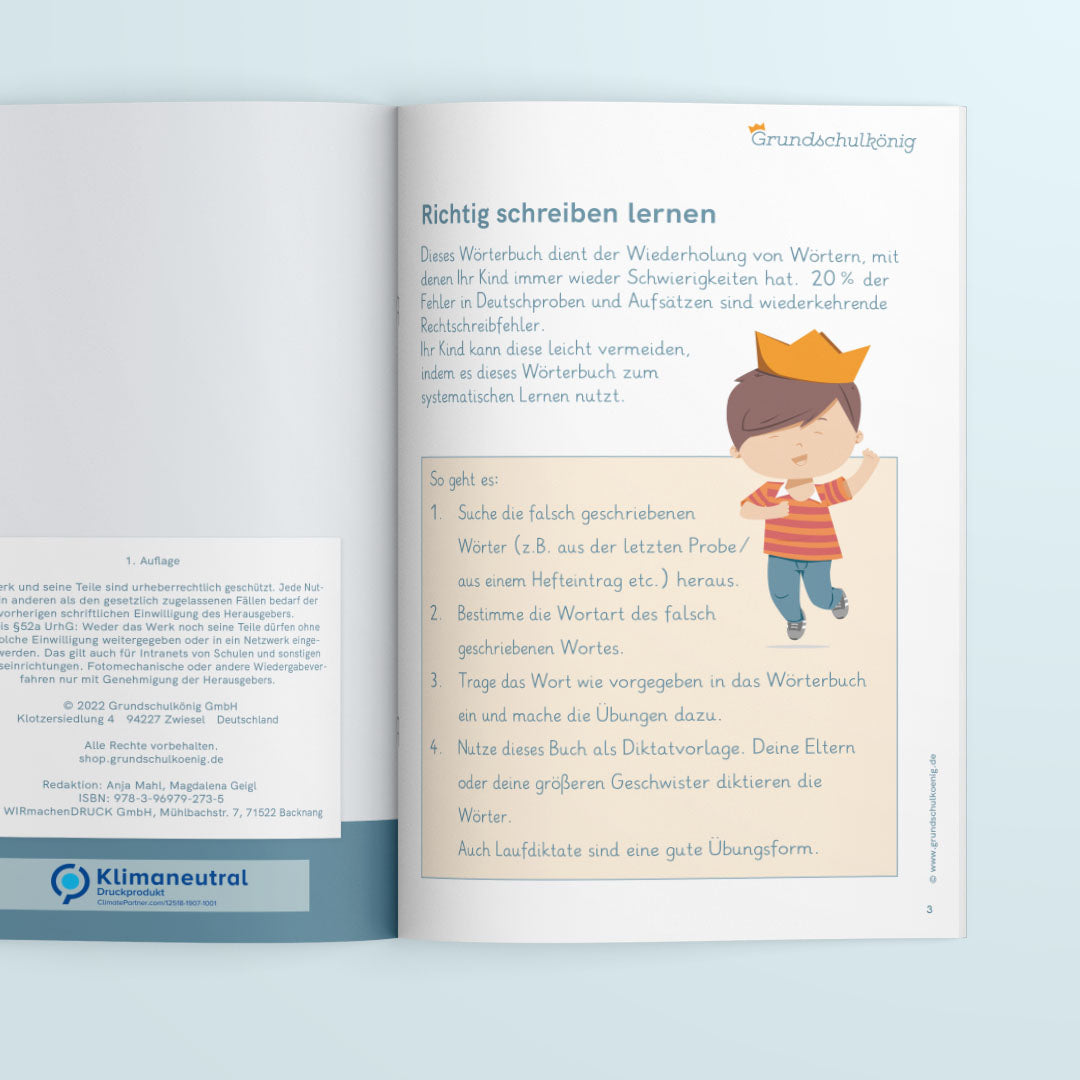 Rechtschreibtraining mit dem Wörterbuch, 3. Klasse - Arbeitsheft