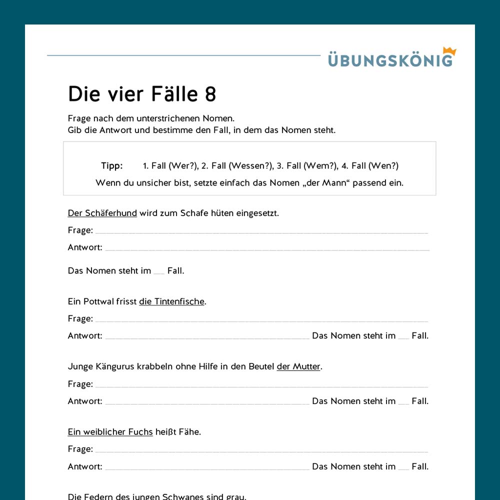 Königspaket: Die vier Fälle (Deutsch, Mittelschule)