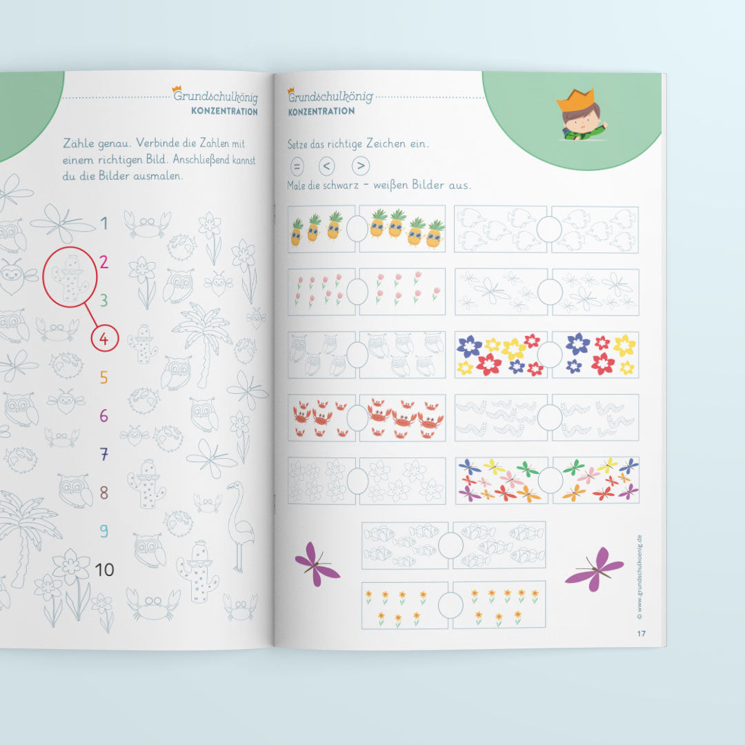 Vorschule - Schwungübungen, Zahlen & Konzentration - Arbeitsheft