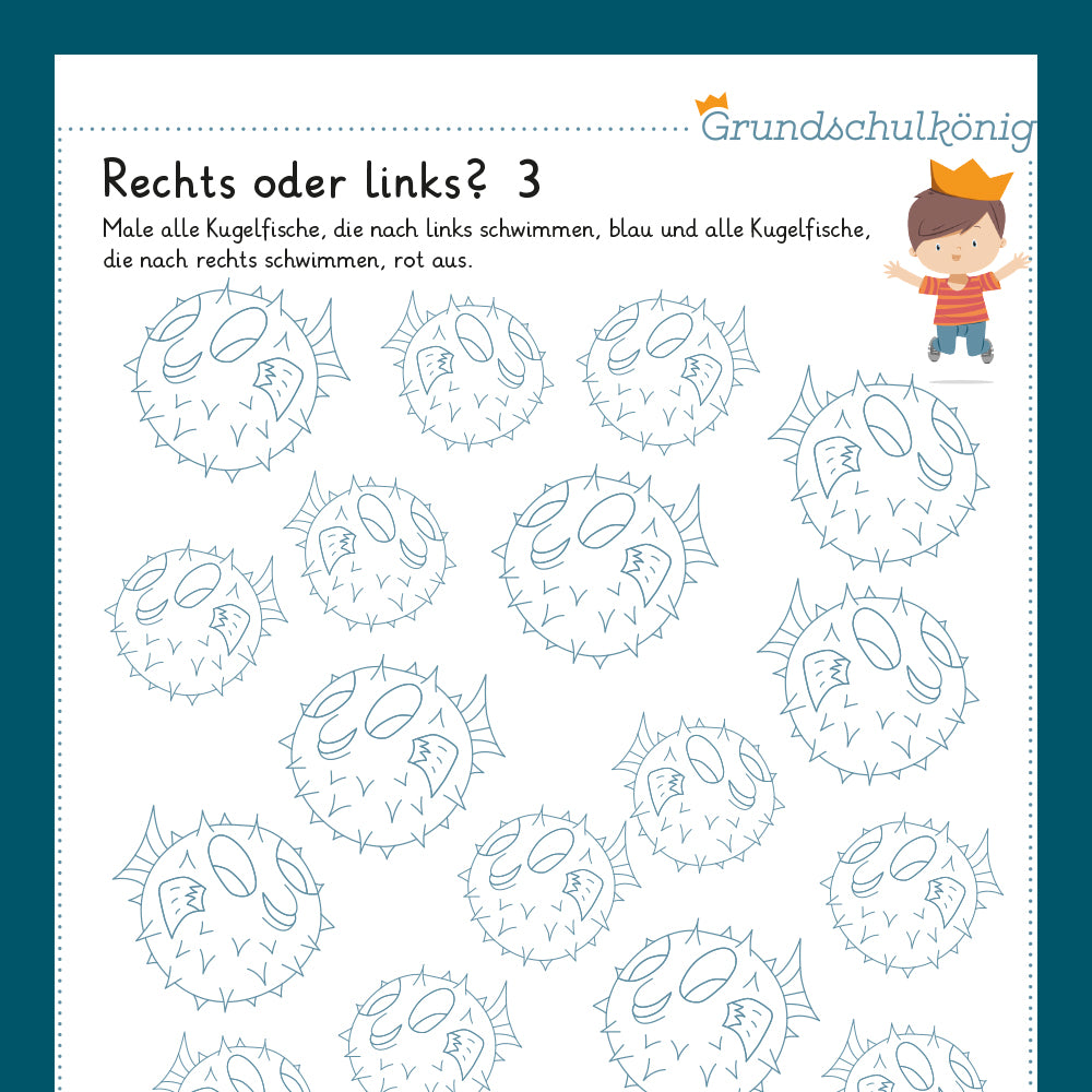 Königspaket: Rechts oder links? Fische (Vorschule)