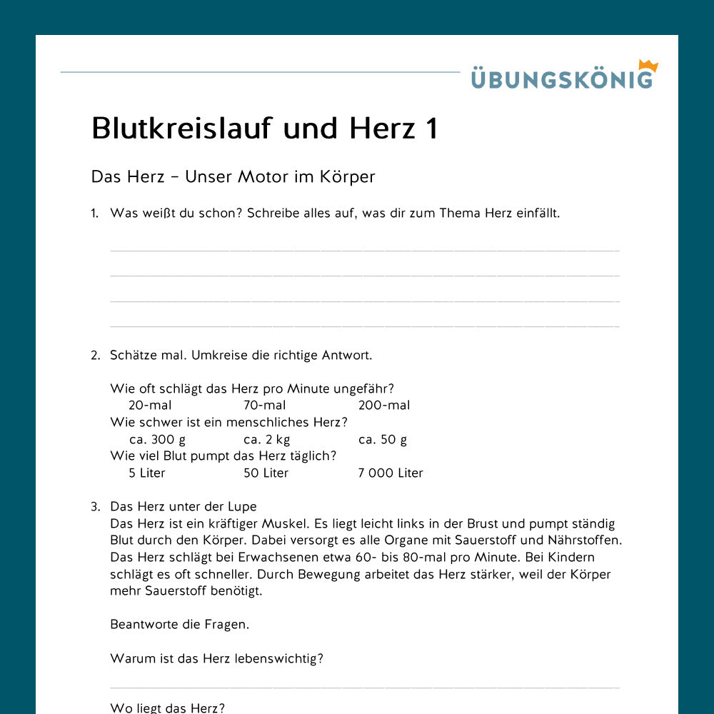Königspaket: Blutkreislauf und Herz (Biologie, 5. Klasse) - inklusive Test