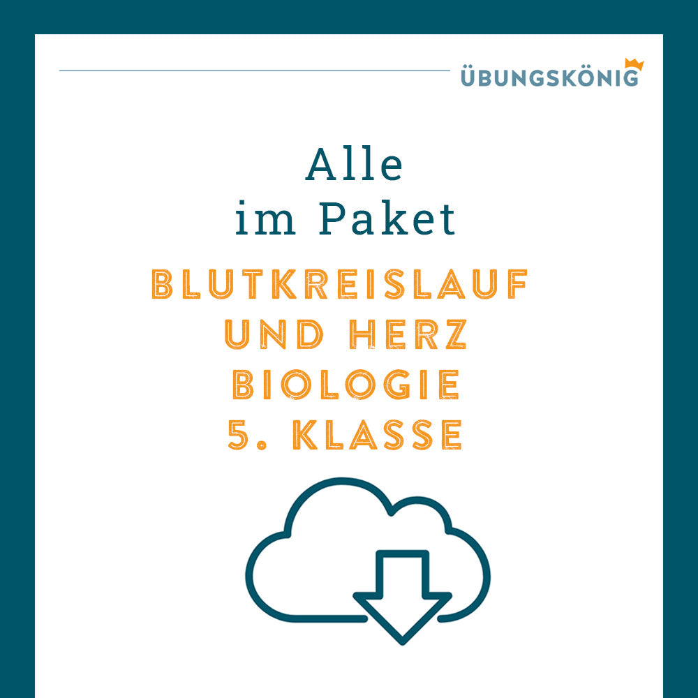 Königspaket: Blutkreislauf und Herz (Biologie, 5. Klasse) - inklusive Test