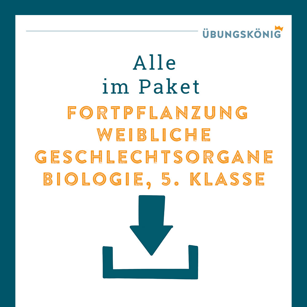 Königspaket: Weibliche Geschlechtsorgane (Biologie, 5. Klasse)