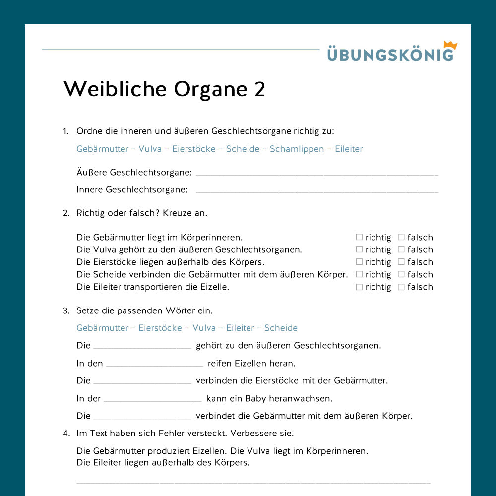 Königspaket: Fortpflanzung - weibliche Geschlechtsorgane (Biologie, 5. Klasse) - inklusive Test