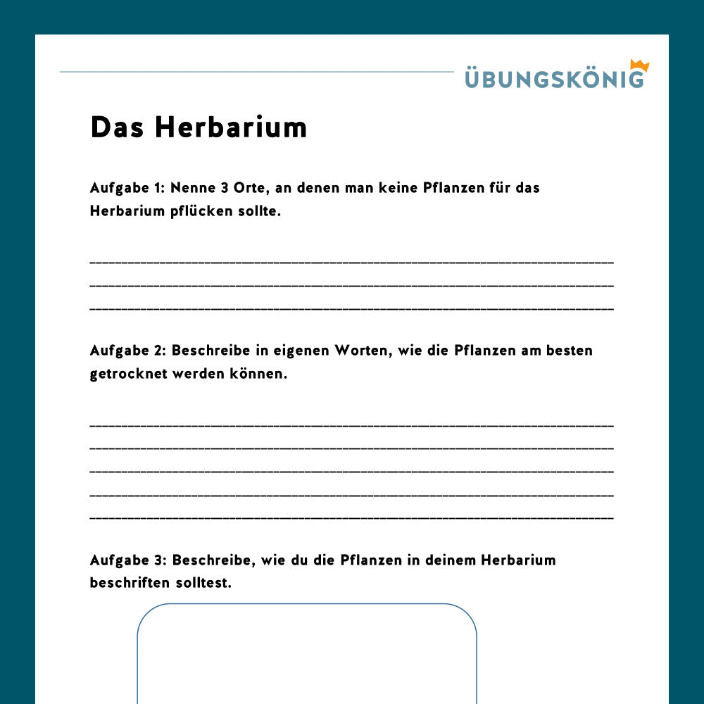Königspaket: Wir gestalten ein Herbarium (Biologie, 5. Klasse)