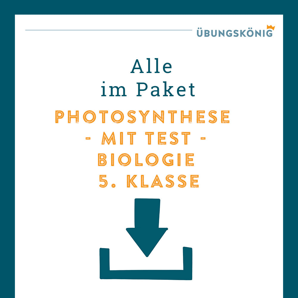 Königspaket: Photosynthese (Biologie, 5. Klasse)