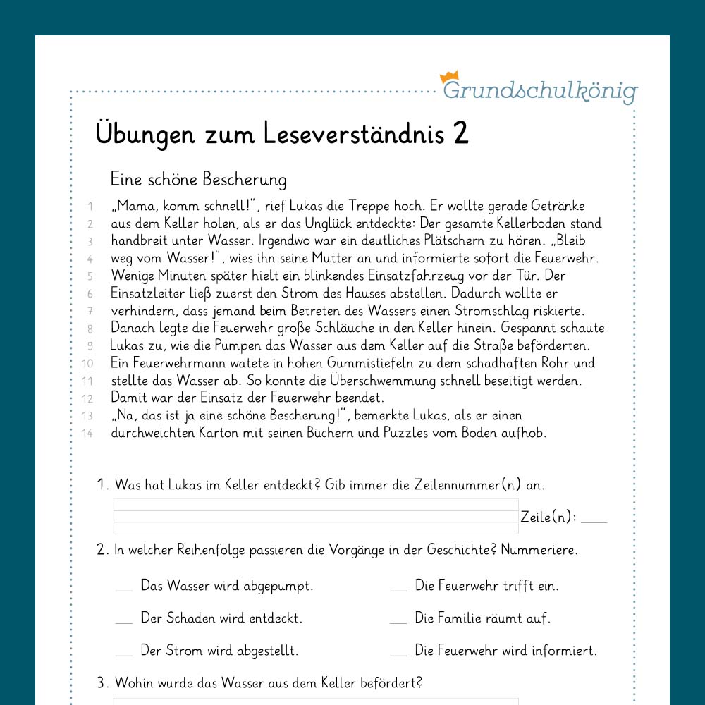 Königspaket: Textverständnis (Deutsch, 2. Klasse) - inklusive Test