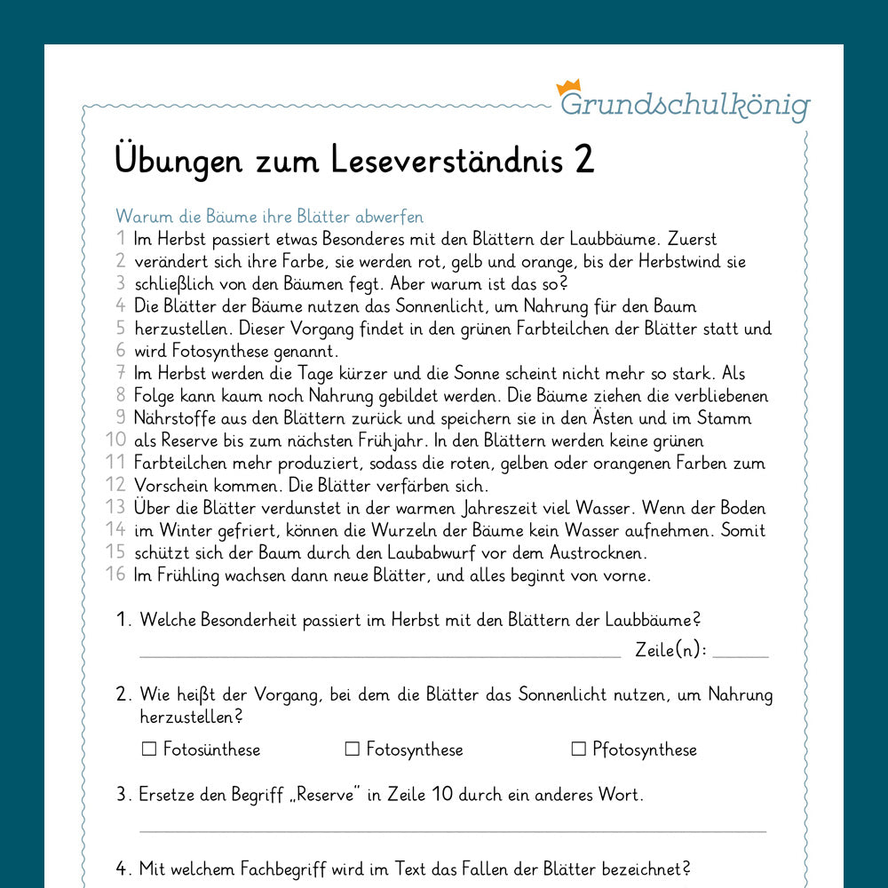 Königspaket: Leseverständnis (Deutsch, 3. Klasse)