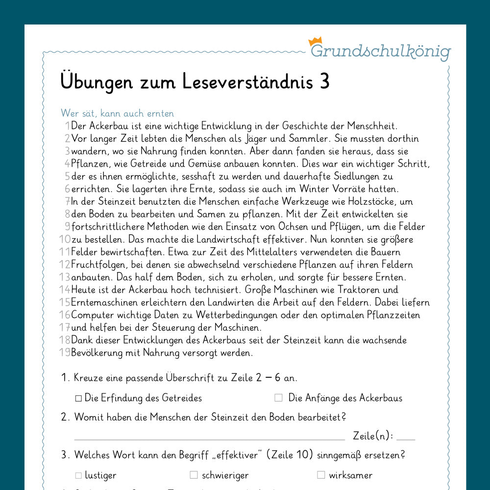 Königspaket: Leseverständnis (Deutsch, 4. Klasse)