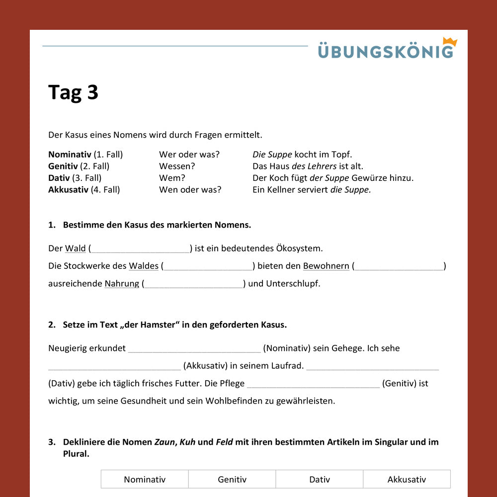 Intensivtraining: Die 4 Fälle des Nomens (Deutsch, 5. & 6. Klasse)