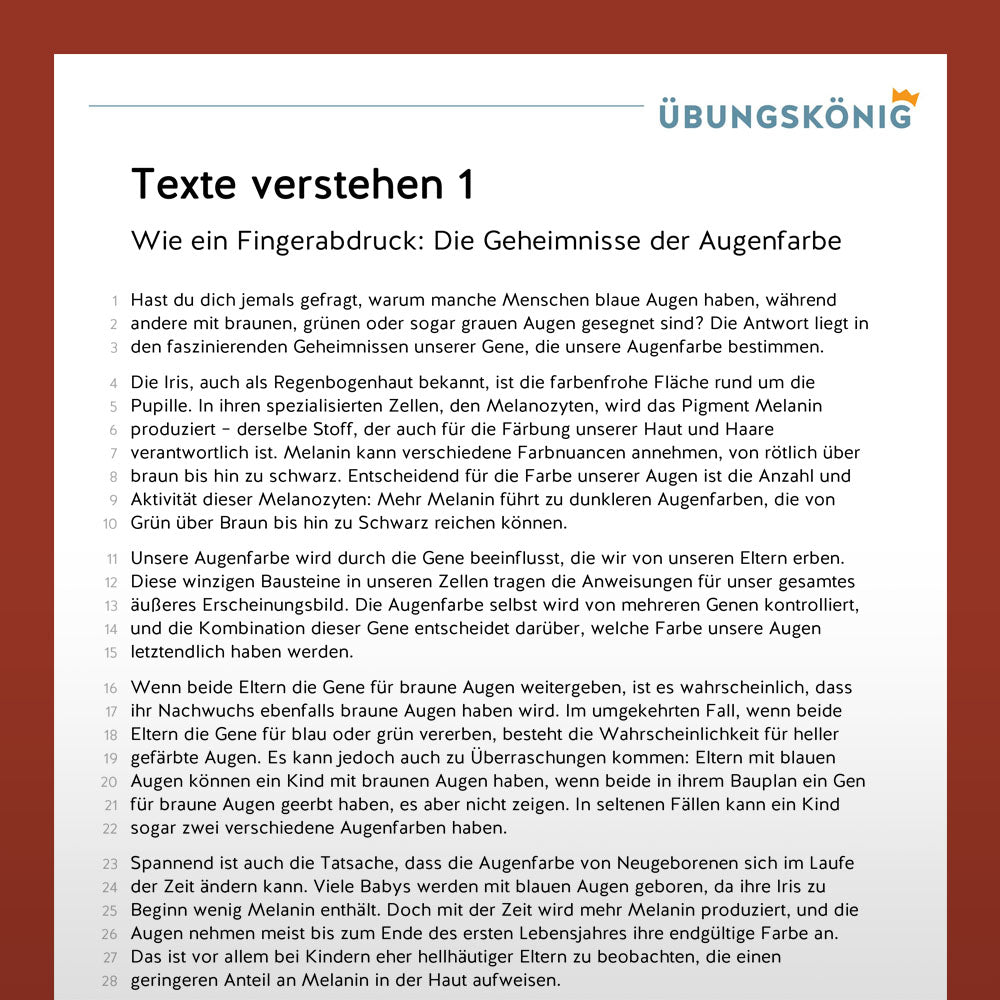 Intensivtraining: Texte verstehen (Deutsch, 5. & 6. Klasse)