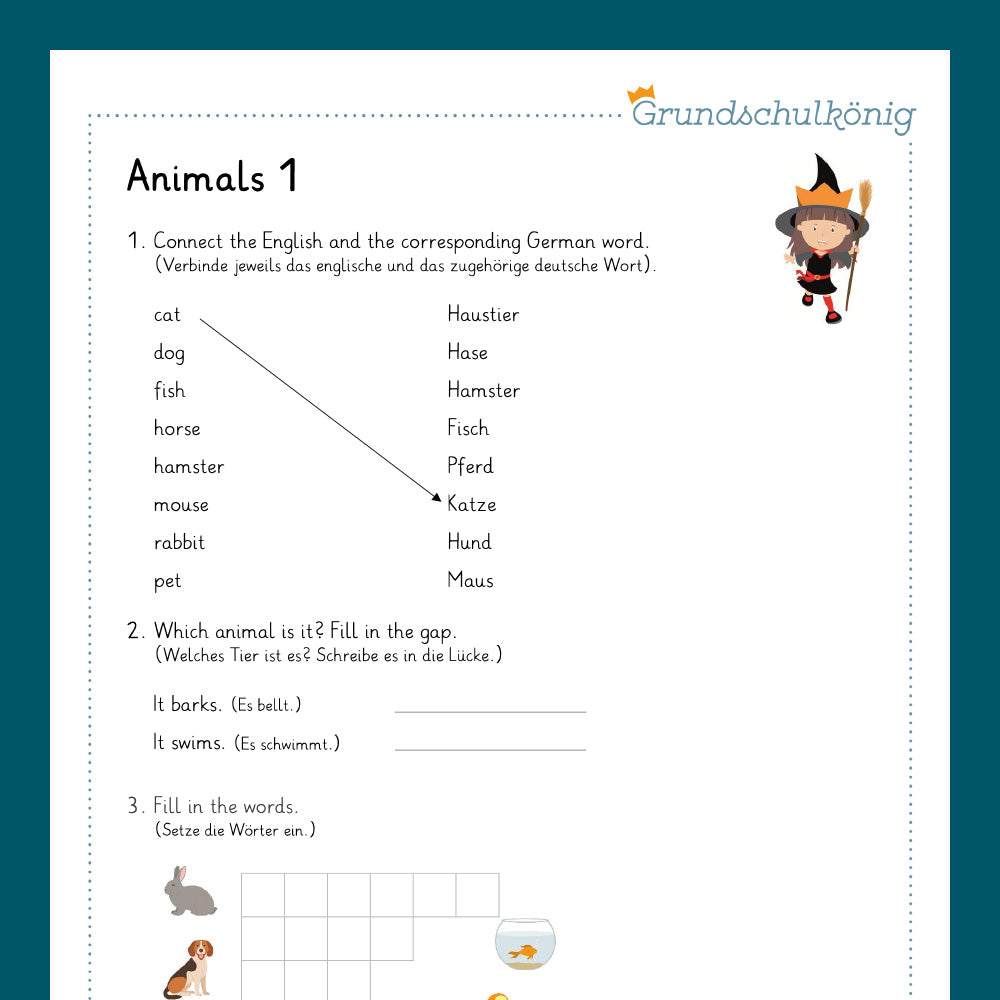 Königspaket: animals (Englisch, 3. & 4. Klasse)