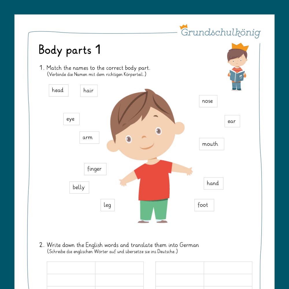 Königspaket: body parts (Englisch, 3. & 4. Klasse)