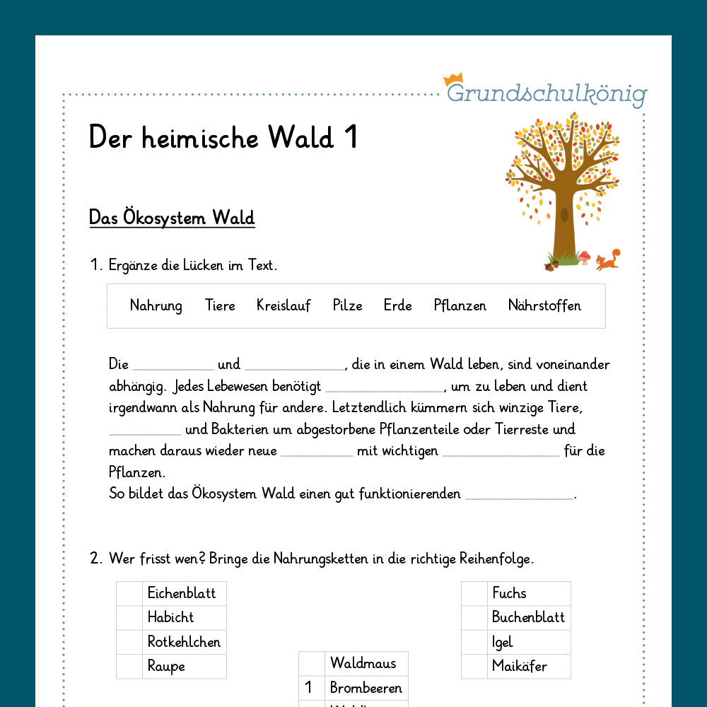 Königspaket: Der heimische Wald (Sachunterricht)
