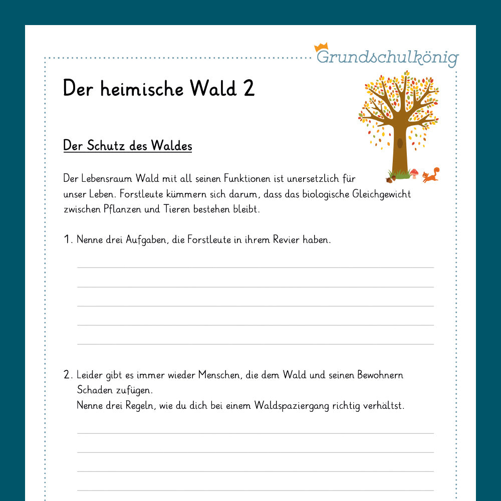 Königspaket: Der heimische Wald (Sachunterricht)