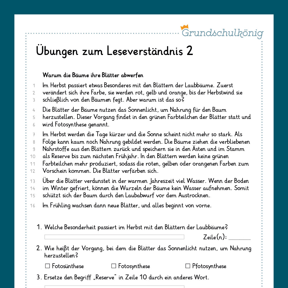 Königspaket: Leseverständnis (Deutsch, 3. Klasse)