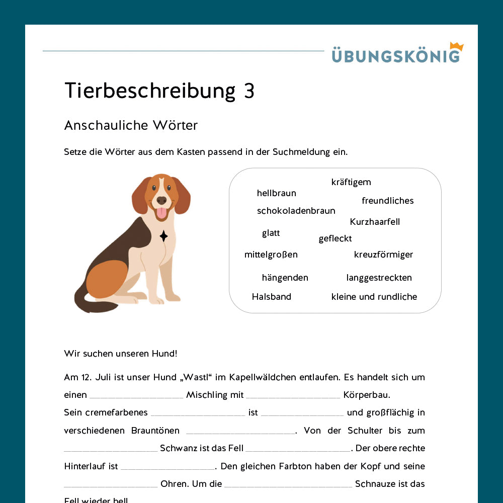 Königspaket: Tierbeschreibung (Deutsch, 5. Klasse) - inklusive Test!